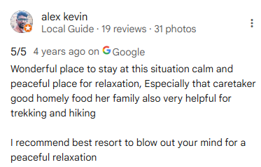 Google Review